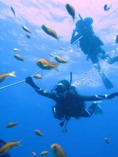 流れの沖の浮島根