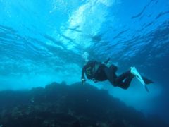 水面がきれい