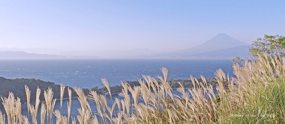 秋の伊豆の陸上風景写真