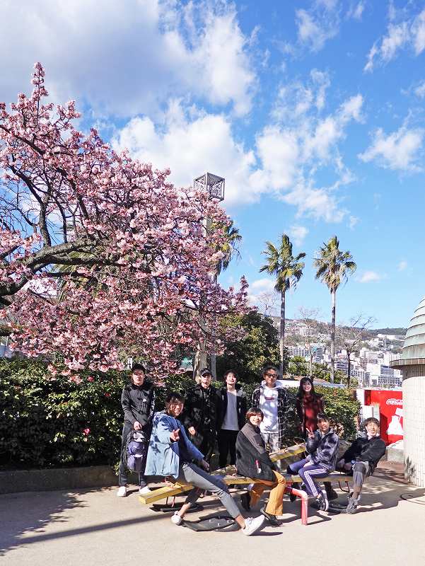 熱海桜＠東京発日帰り熱海ダイビングツアー