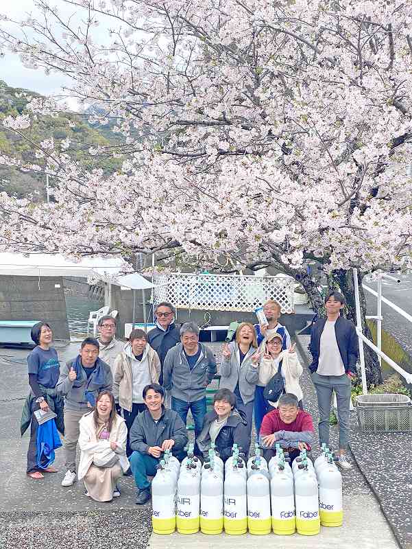 田子桜＠雲見・田子ダイビングツアー